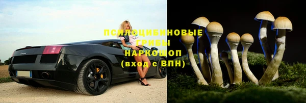дмт Балахна
