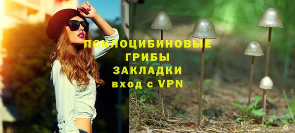 гидропоника Сосновка