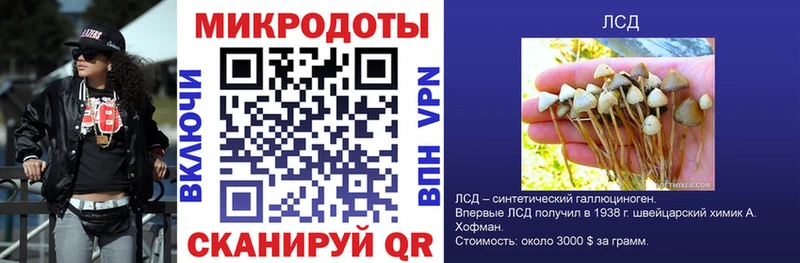 как найти закладки  Купино  маркетплейс какой сайт  Псилоцибиновые грибы Psilocybine cubensis 